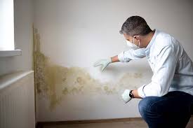 Best Mold Odor Removal Services  in Glasgow, VA